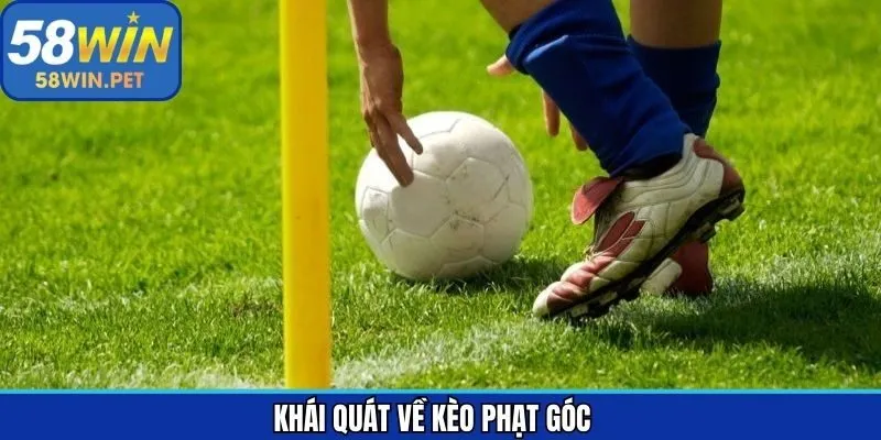 Vài nét sơ lược về hình thức cá độ kịch tính