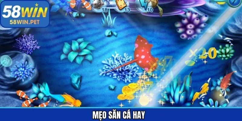 Mẹo Săn Cá Hay Chia Sẻ Từ Các Tay Chơi Lâu Năm Tại 58Win