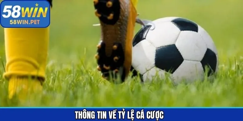 Thông tin quan trọng về tỷ lệ cược bóng đá