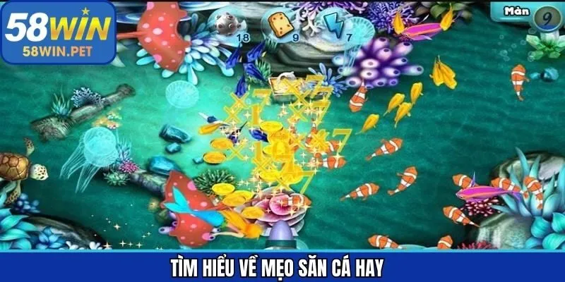 Thông tin chung về mẹo săn cá hay