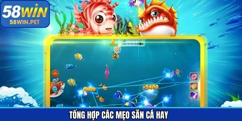 Bật mí chiến lược thực hiện săn ngư hiệu quả